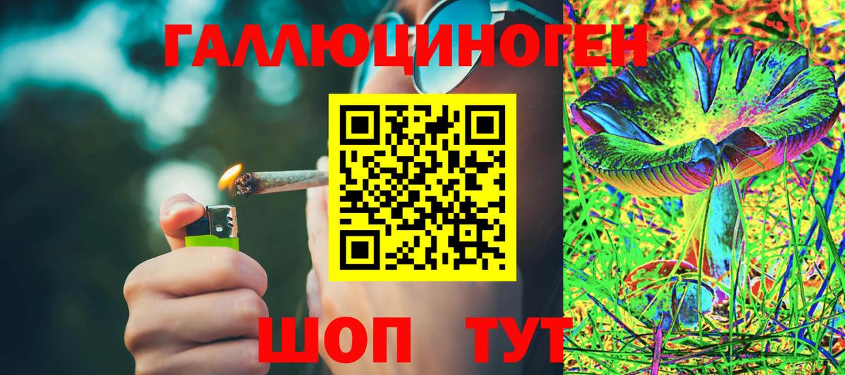 Тула  Псилоцибиновые грибы Psilocybe  Вход с VPN 